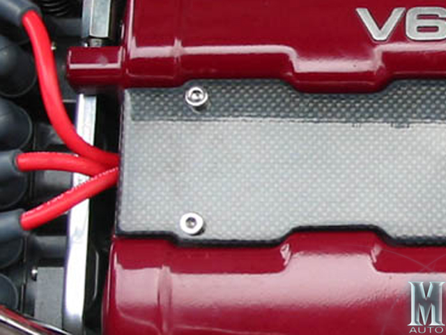 Carbon Fiber Spark Plug Plate - Click Image to Close